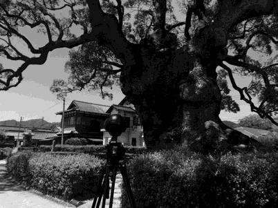 Original Insta360 Pro on a tripod beside a large tree during an outdoor archive shoot